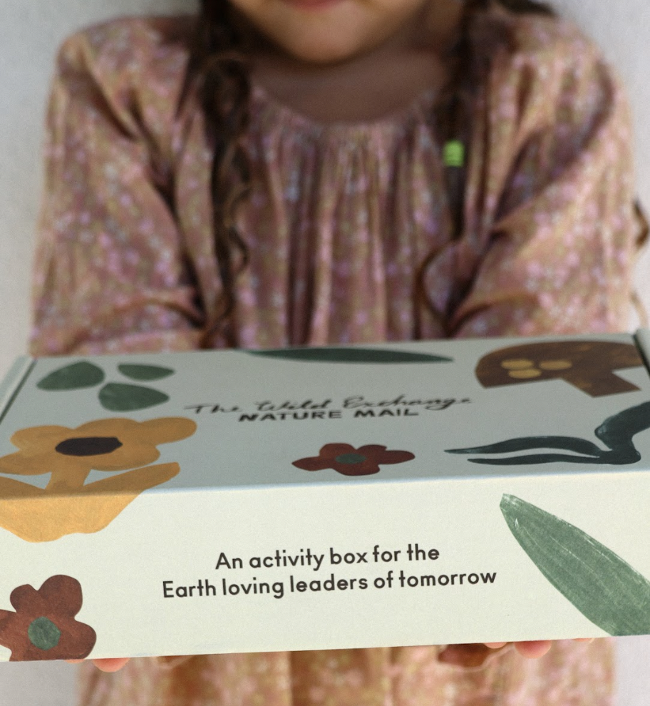 Nature Mail activity 6