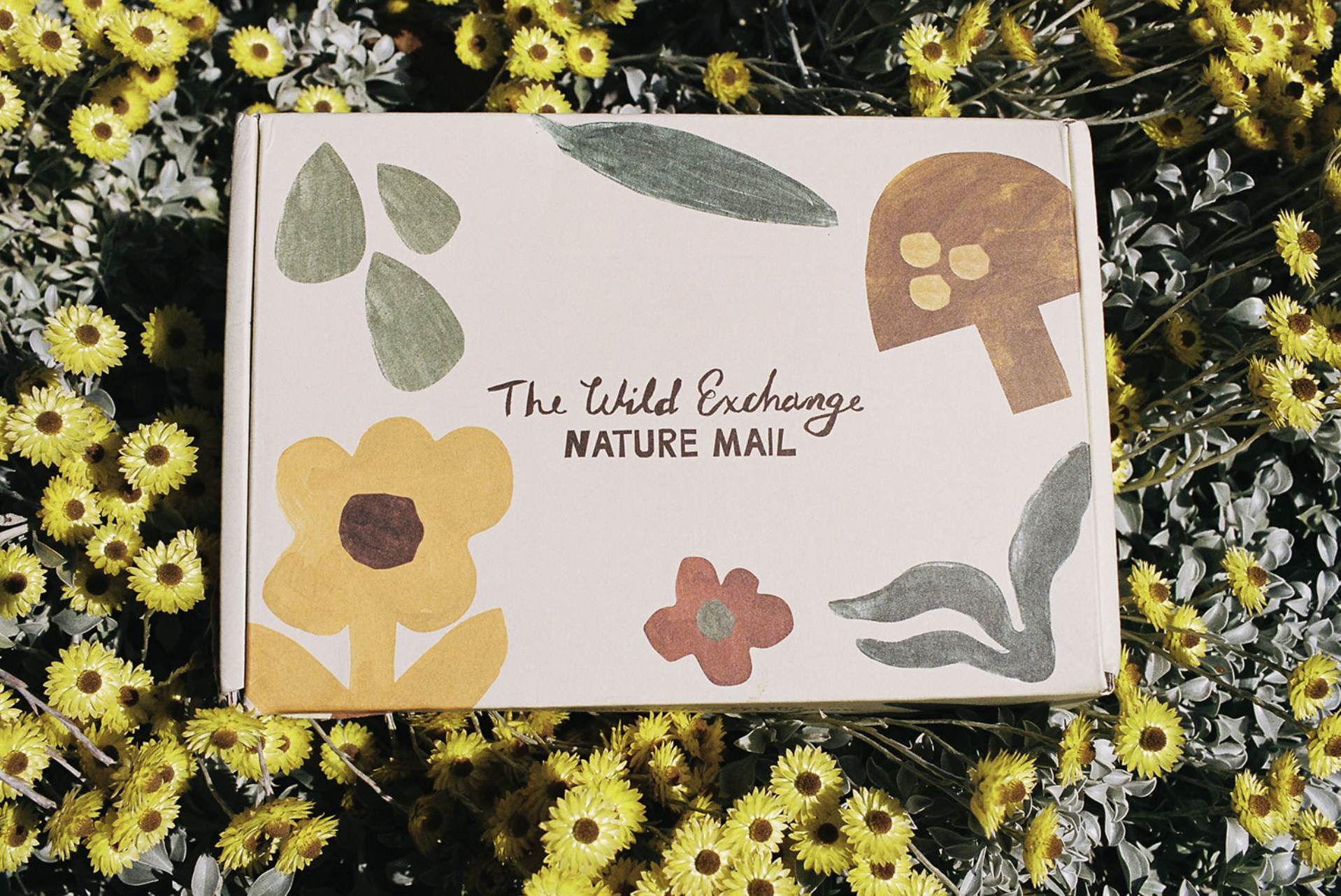 NATURE MAIL ONE-TIME BOXES