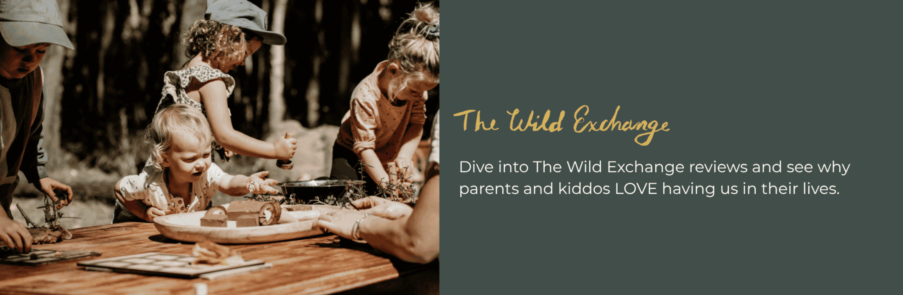 Children enjoying nature play activities